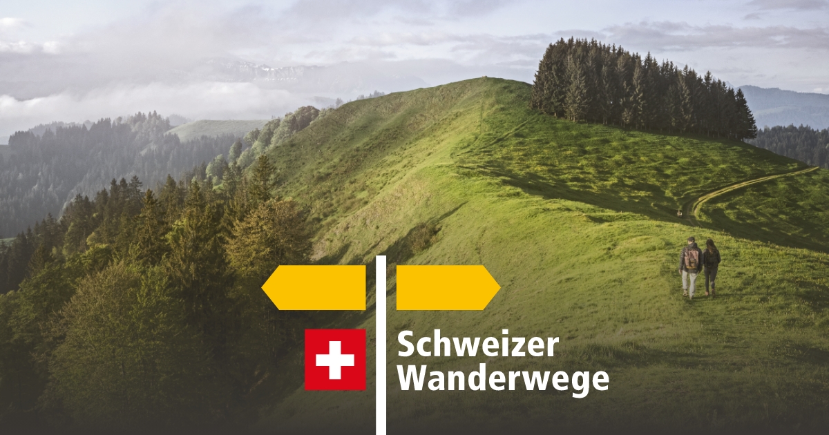 OG Image wird geladen…