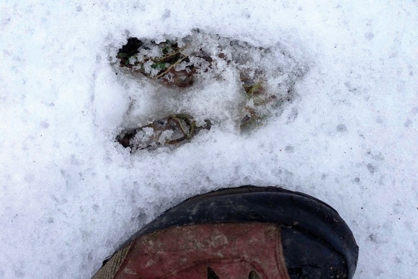 Bild_HP