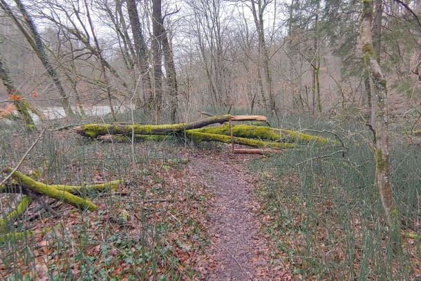 20240307_100437_HDR