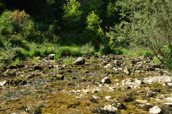 Wandern in den Toggenburger Hügeln