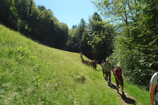 Wandern in den Toggenburger Hügeln