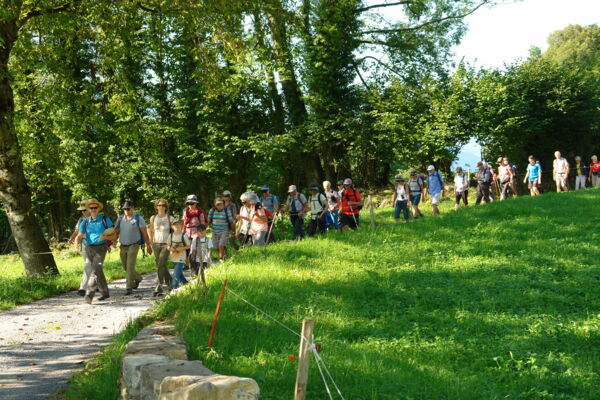 Auf dem Amiet-Hesse-Weg rund um Oschwand