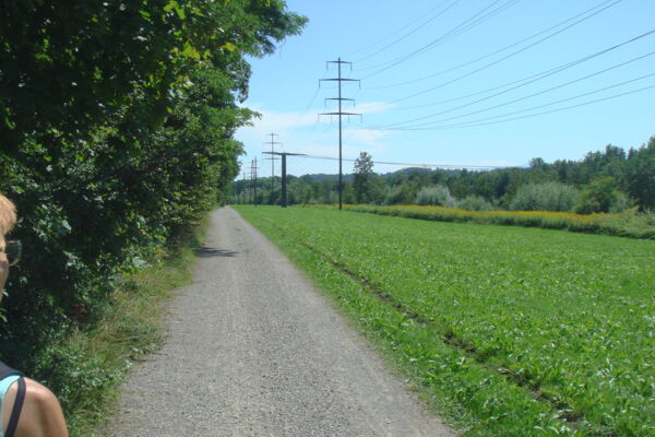 Die Thur im Thurgau