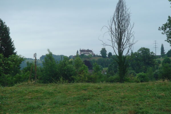 Die Thur im Thurgau