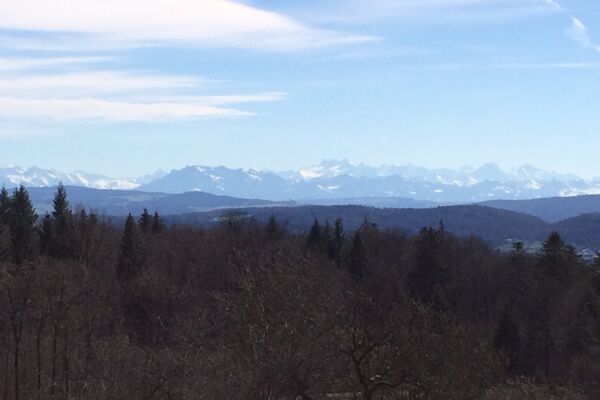 Rundwanderung Baden - Baldegg - Baden