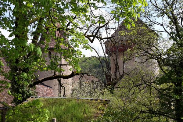 Über die Chastelenflue zum Schloss Wildenstein
