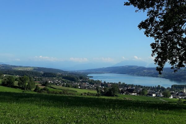 Hallwilersee im Winter