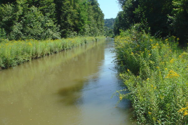 Die Thur im Thurgau