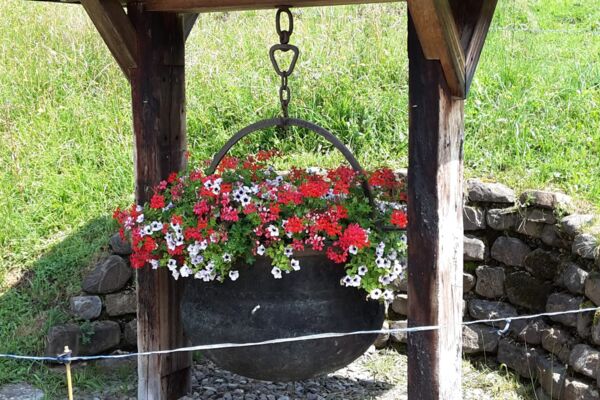 Bergwanderung auf den Schimbrig
