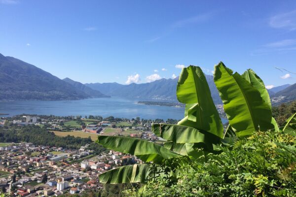 Tenero - Contra - Locarno