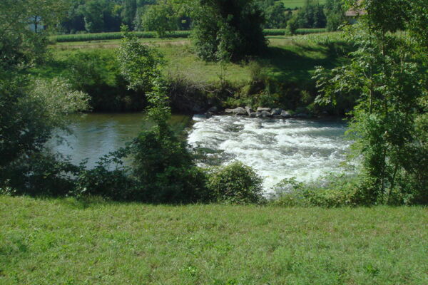 Entlang von Töss und Rhein