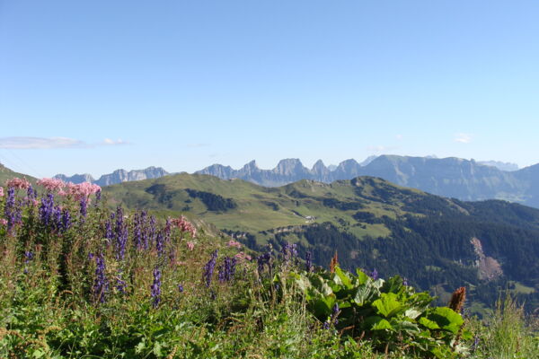 Über den Kerenzerberg
