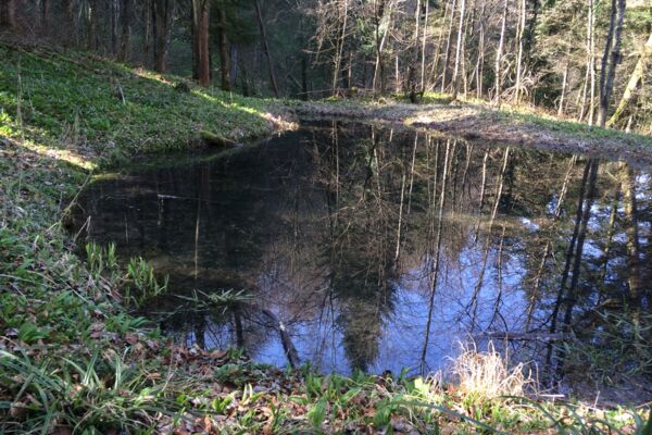 Rundwanderung Baden - Baldegg - Baden