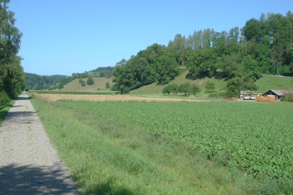 Entlang von Töss und Rhein