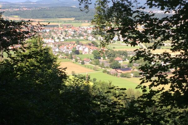Zum Schloss Brunegg und über den Chestenberg