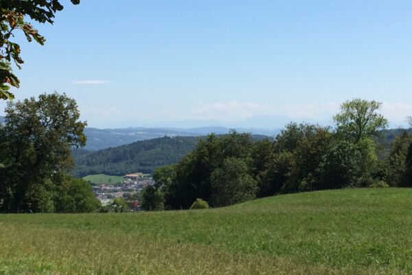 Zum Schloss Brunegg und über den Chestenberg