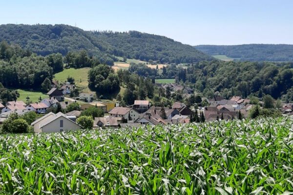 Jüdisches Kulturerbe im Surbtal