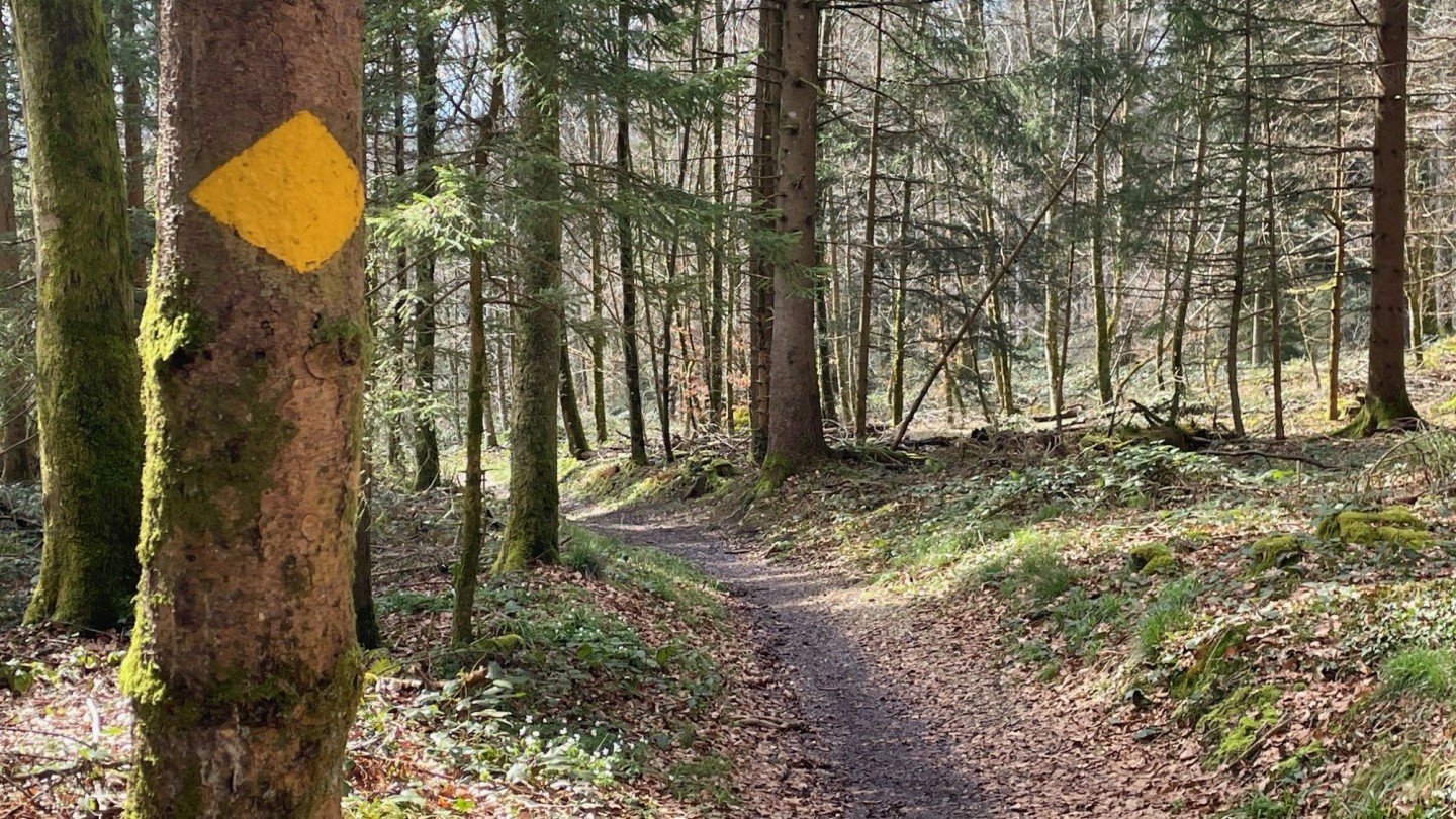 Weg_Wannenhof
