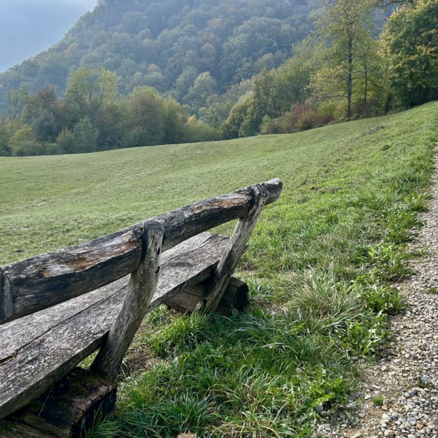 HP_Benkerjoch_0003