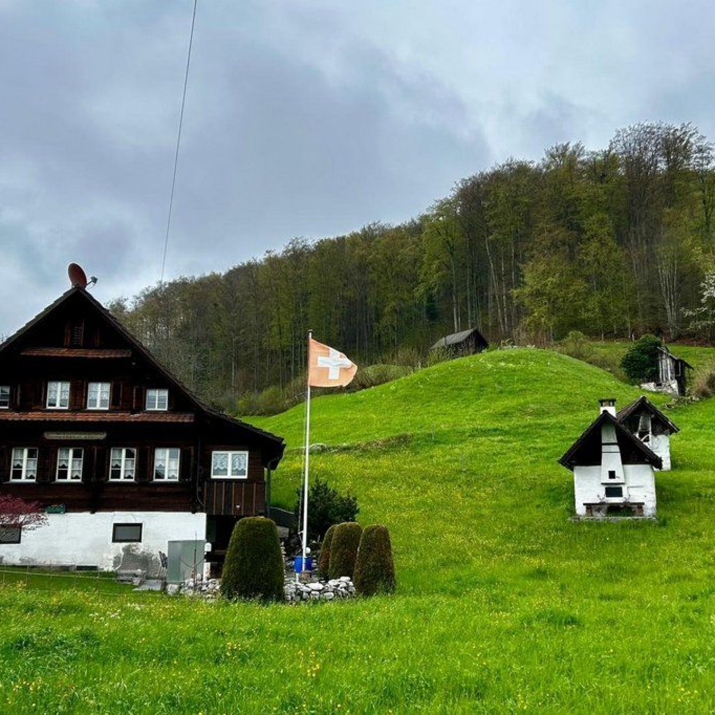 Frieden_00011