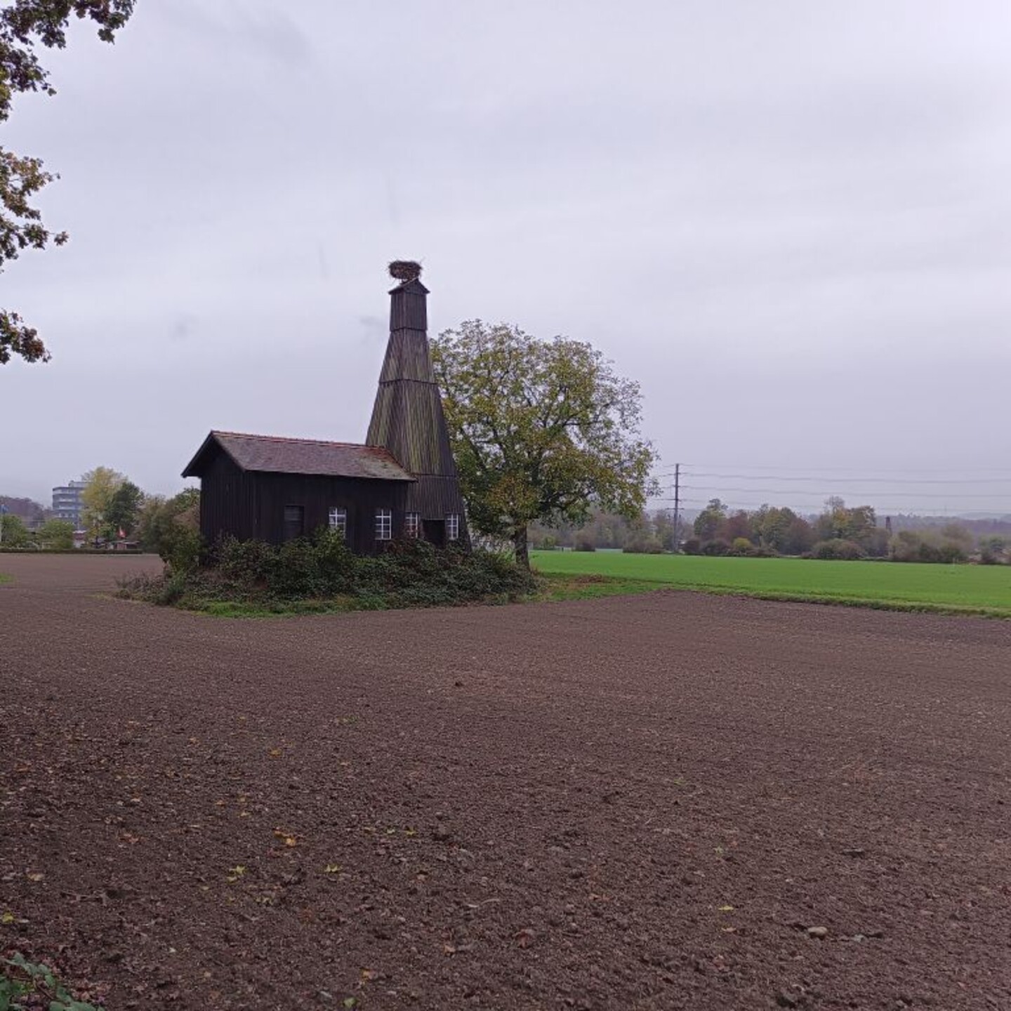 HP_Salz_0013