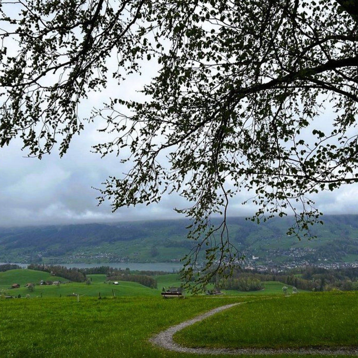 Frieden_00007