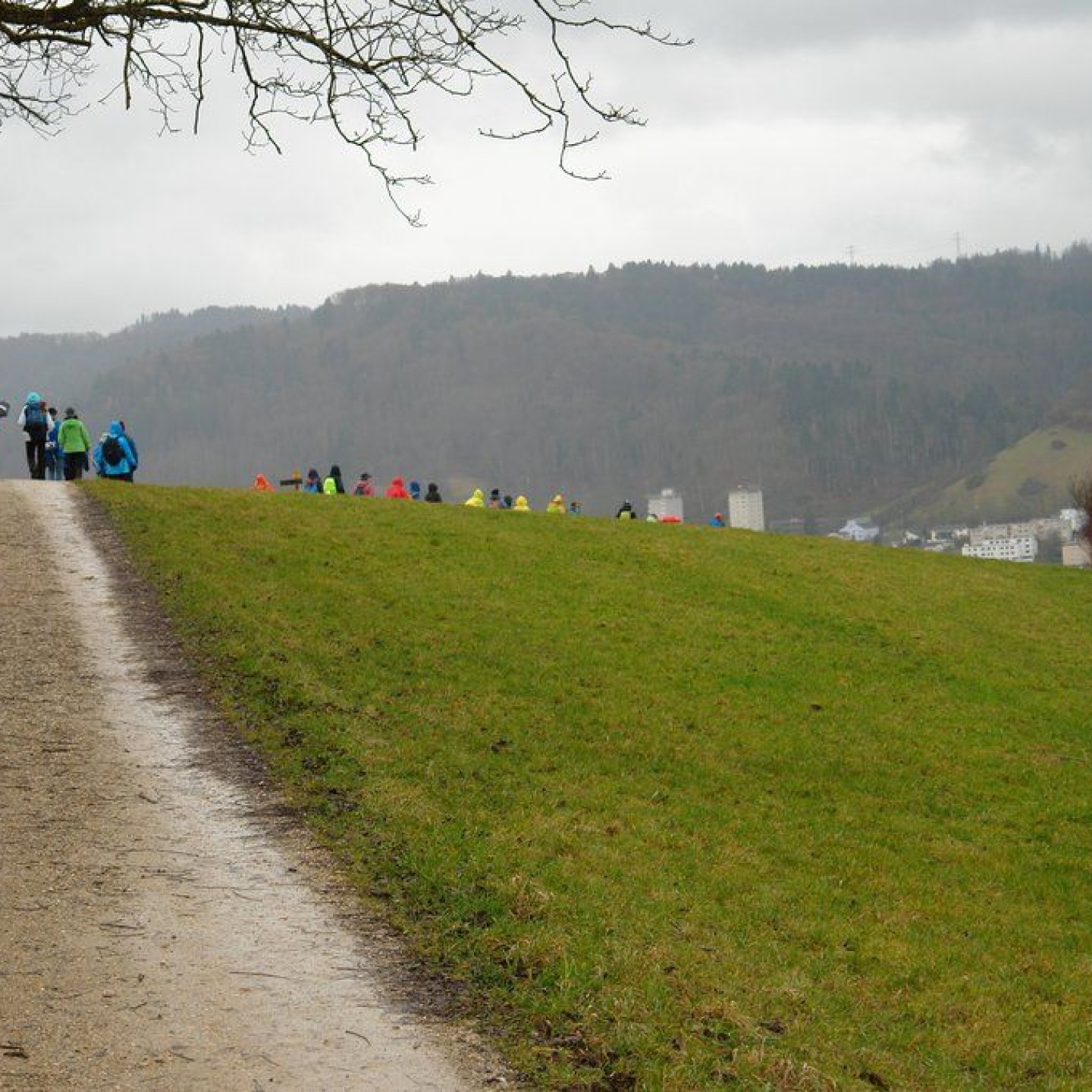 Altberg_00025