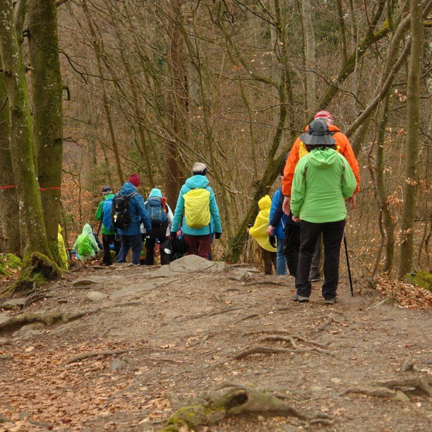 Altberg_00024
