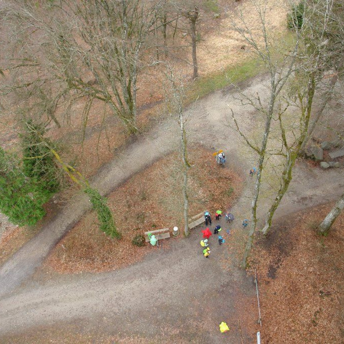 Altberg_00023