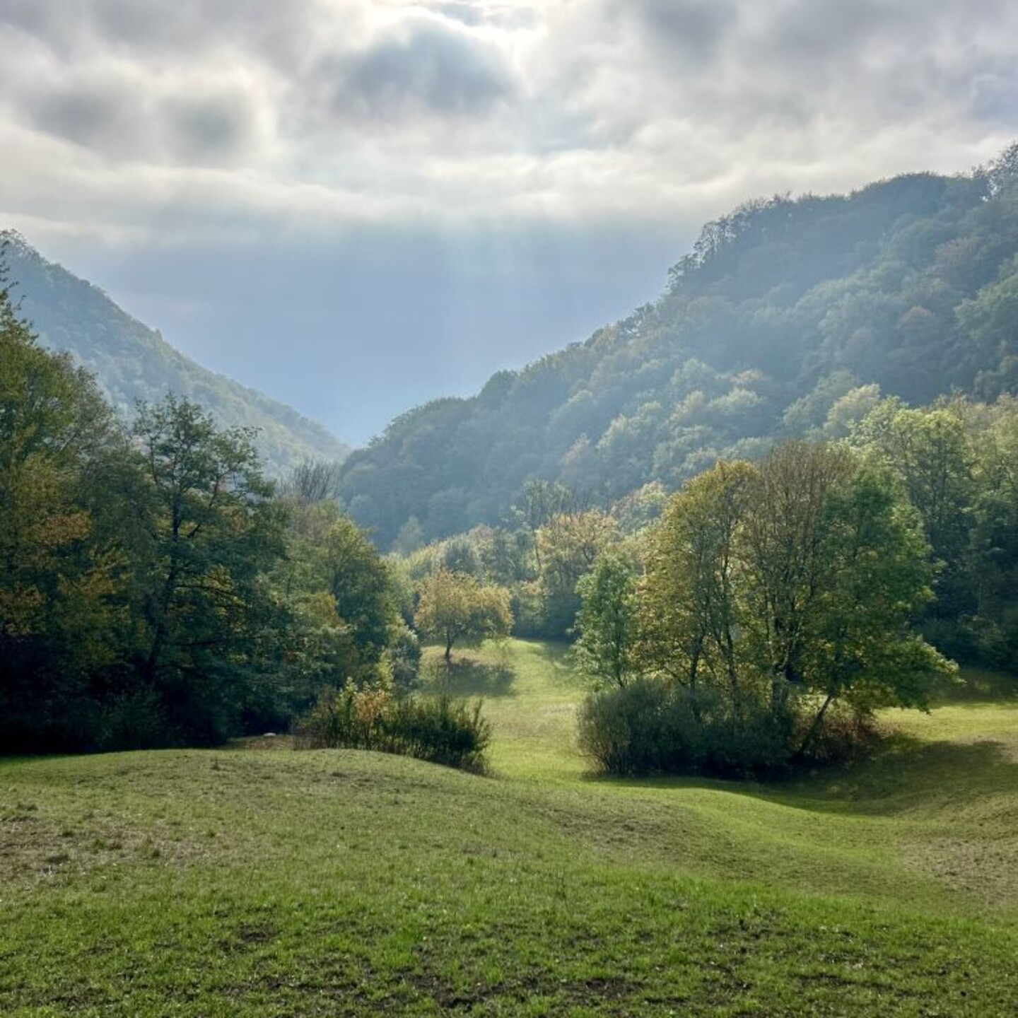 HP_Benkerjoch_0012