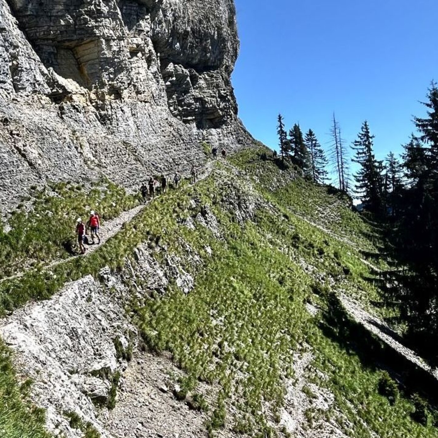 8b