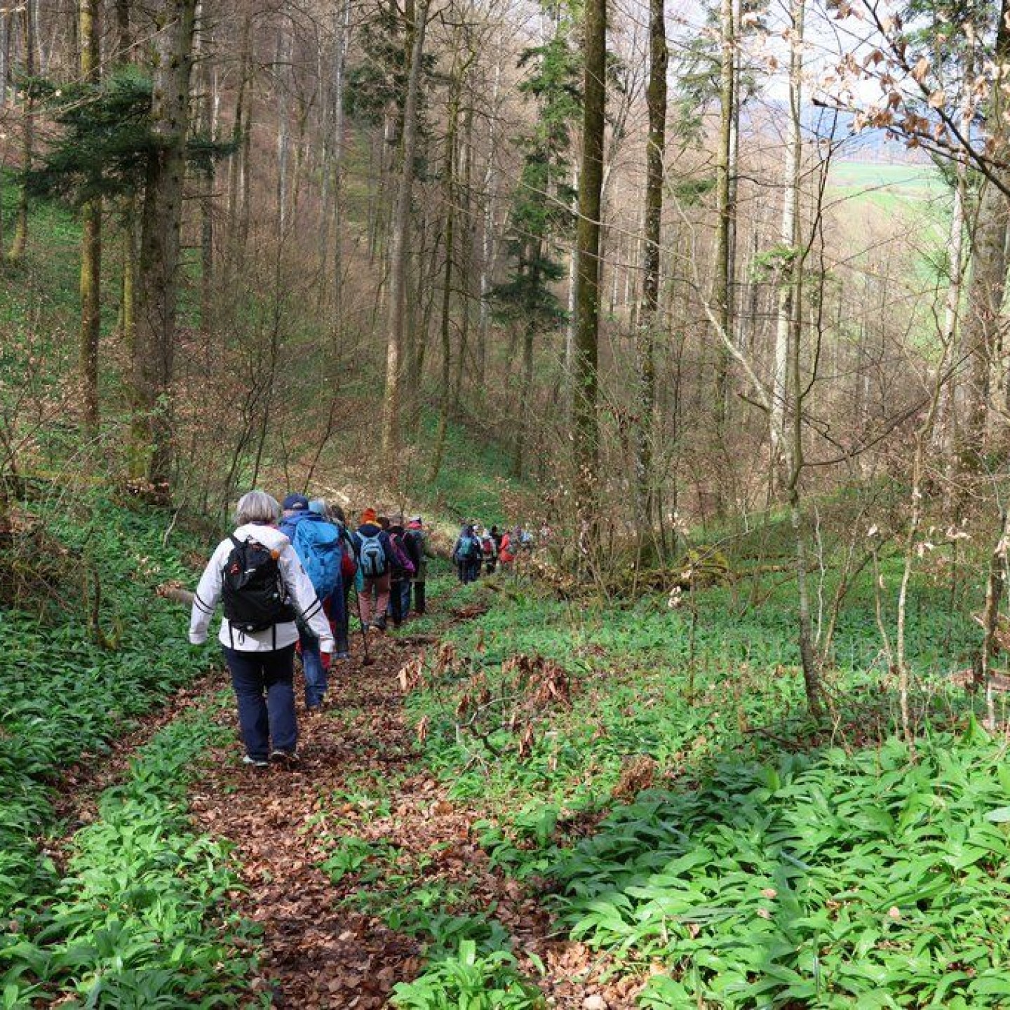 HP_Spuren_00021