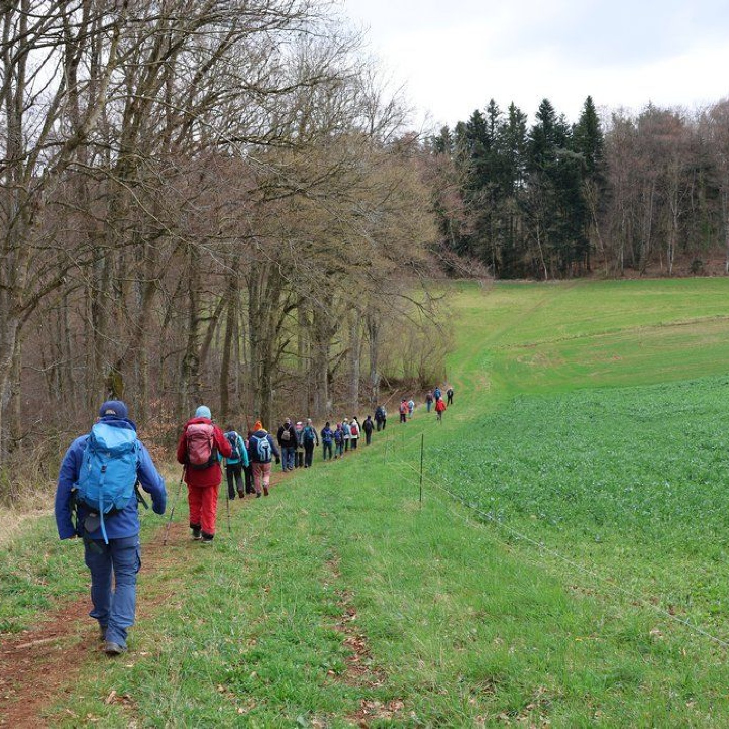 HP_Spuren_00020