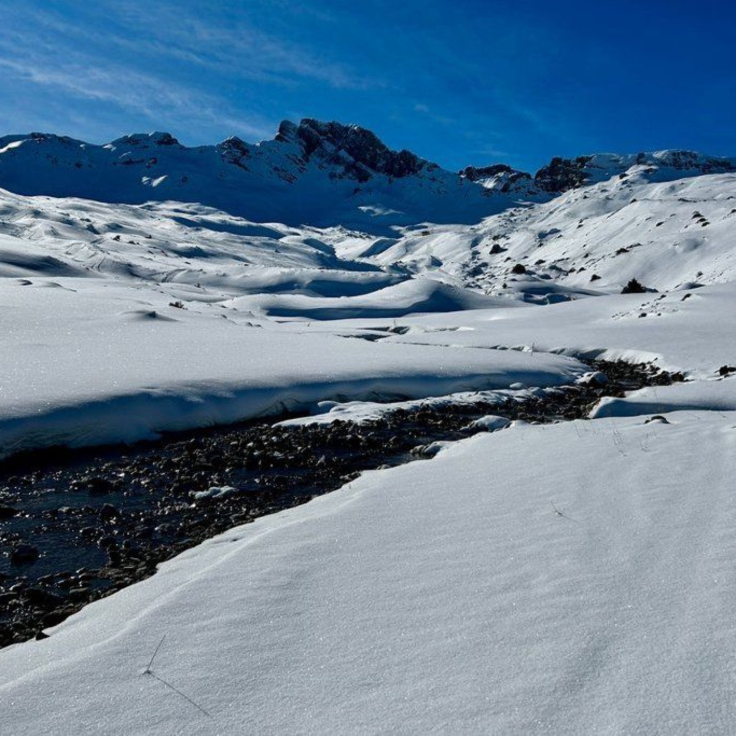 Fursch_00012