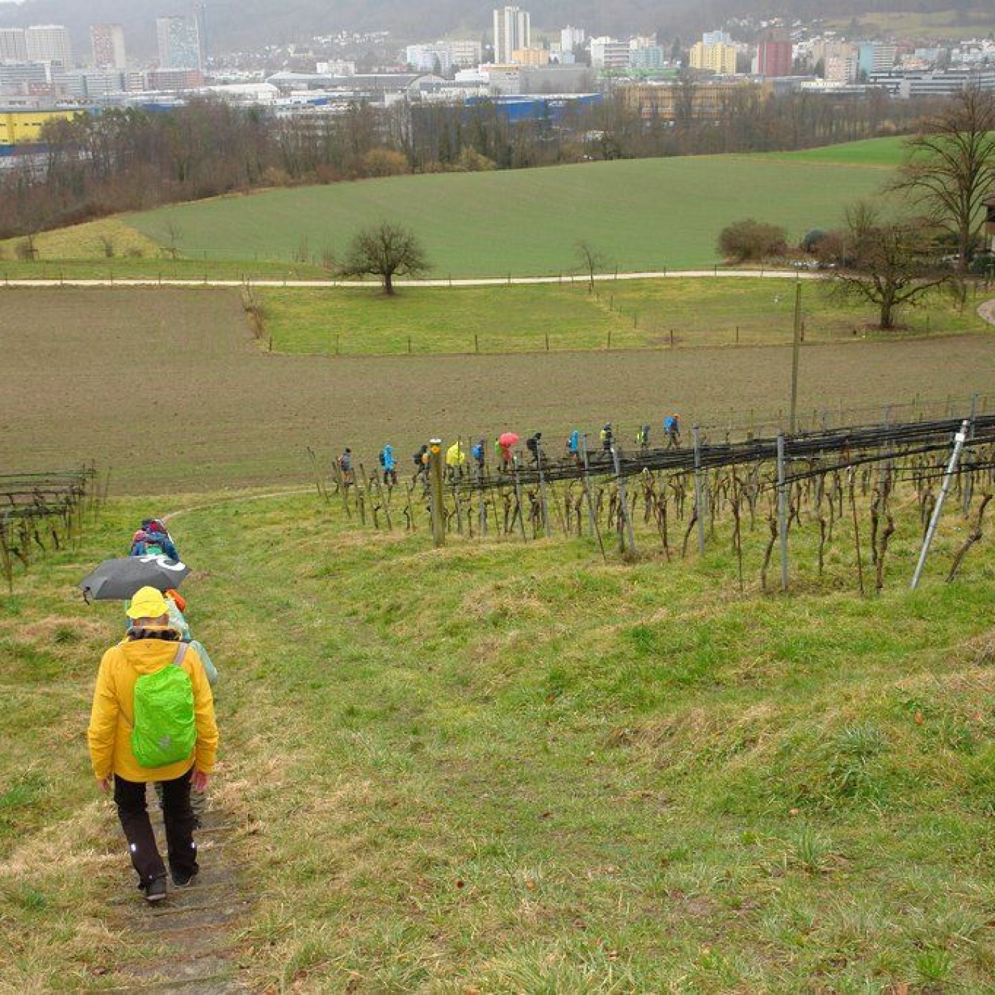 Altberg_00026