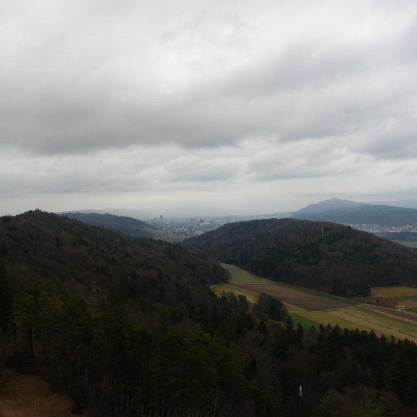 Altberg_00020