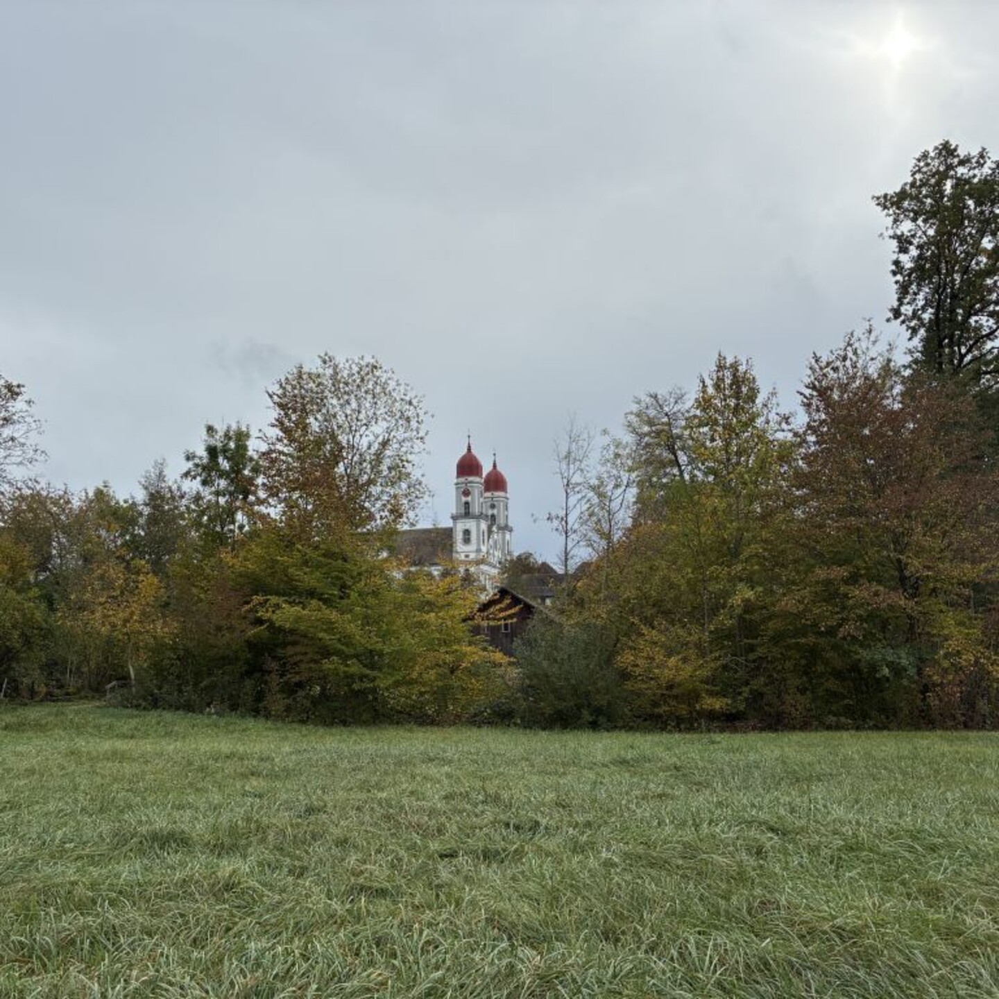 HP_AG3__0029