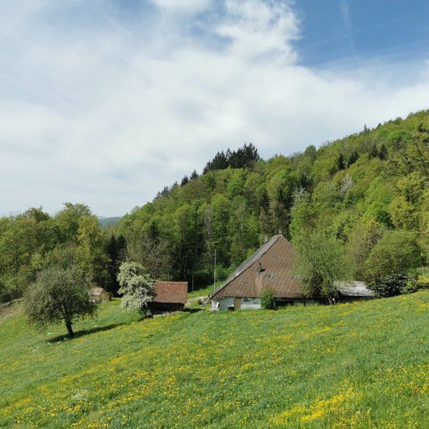 Grenze_00014
