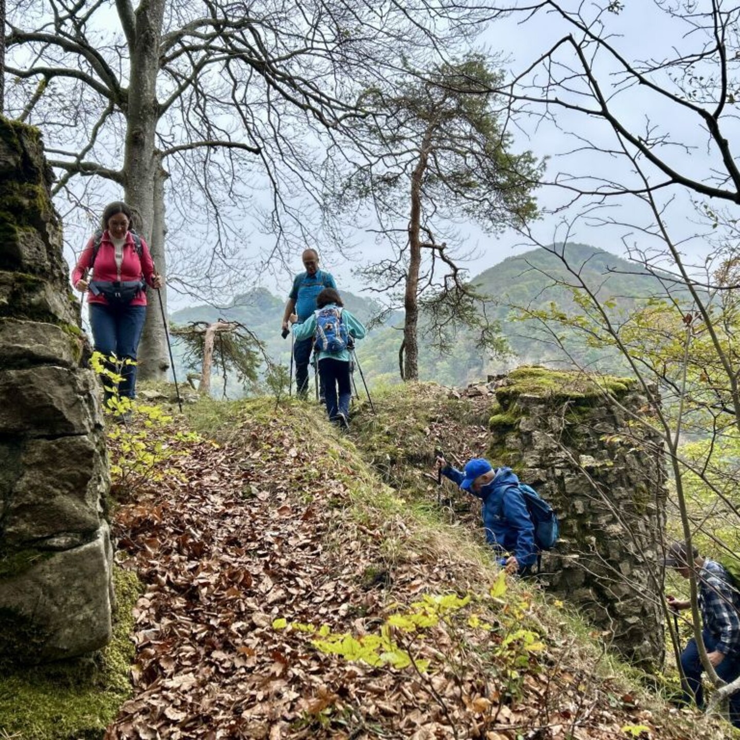 HP_Benkerjoch_0004