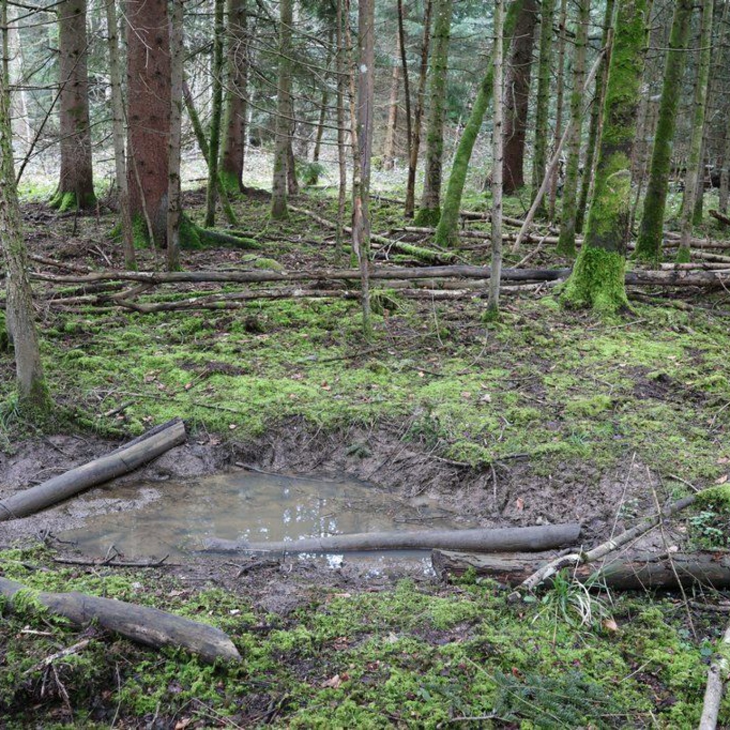 HP_Spuren_00012