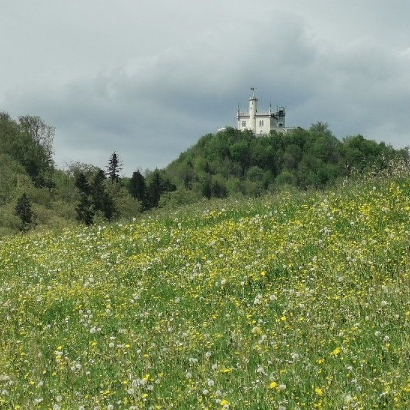 Grenze_00016
