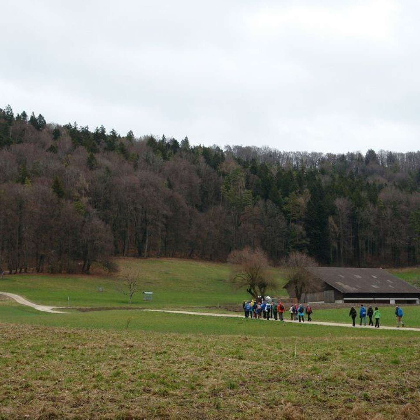 Altberg_00010