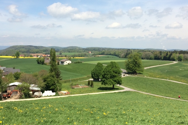 Über den Linnerberg zur Ruine Schenkenberg