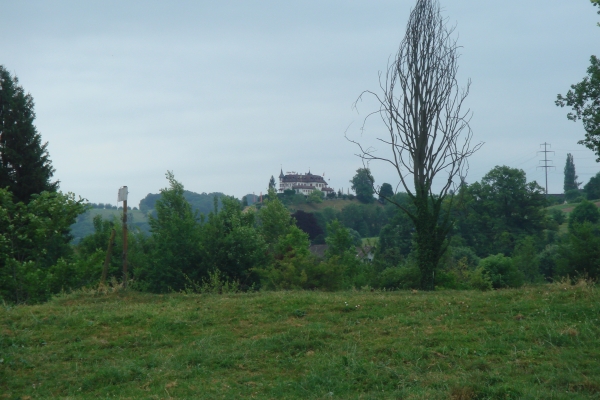 Die Thur im Thurgau
