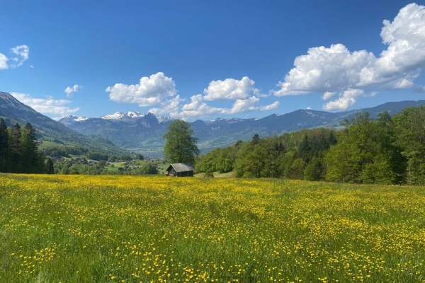 Auf dem Weg zum Friedensstifter