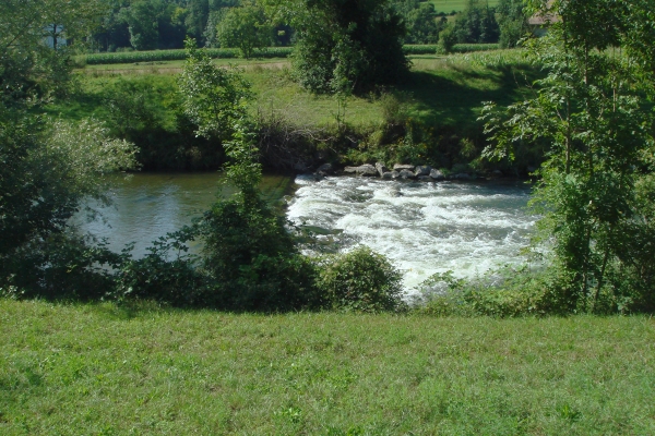Entlang von Töss und Rhein