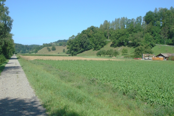 Entlang von Töss und Rhein
