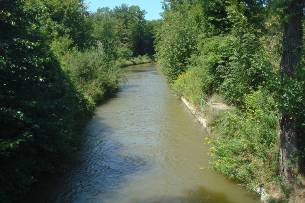Die Thur im Thurgau