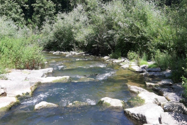 Jüdisches Kulturerbe im Surbtal
