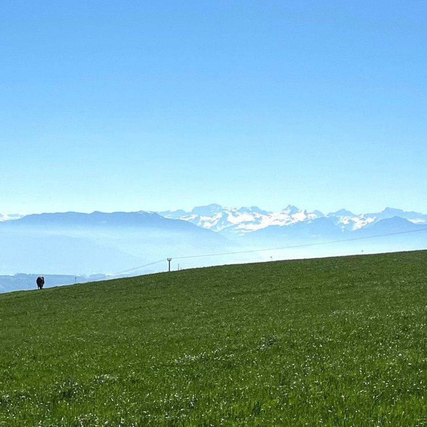 11_Freiamt_003